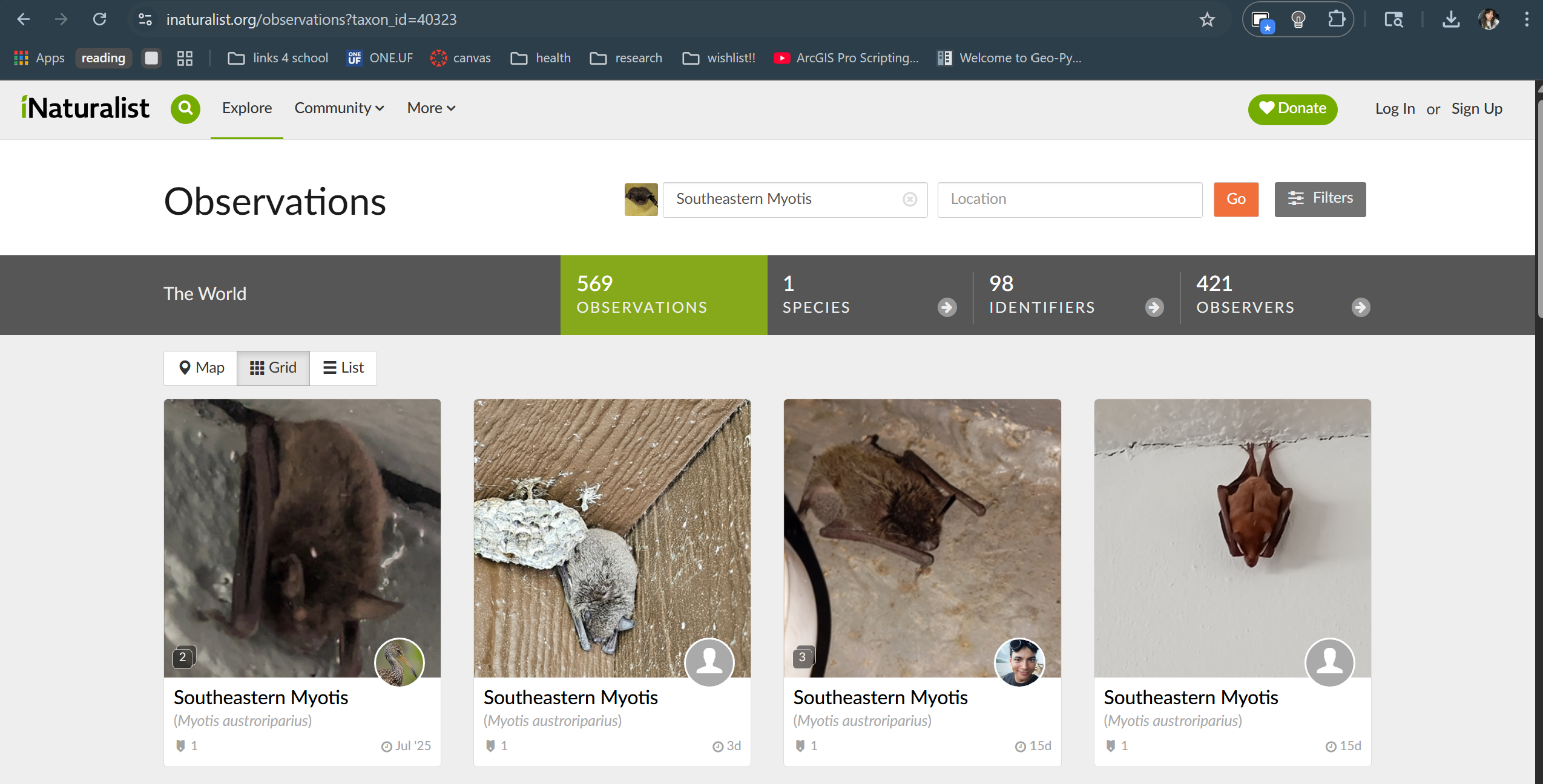 Screenshot of iNaturalist's website after searching for Southeastern Myotis